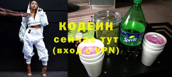 сатива Яранск