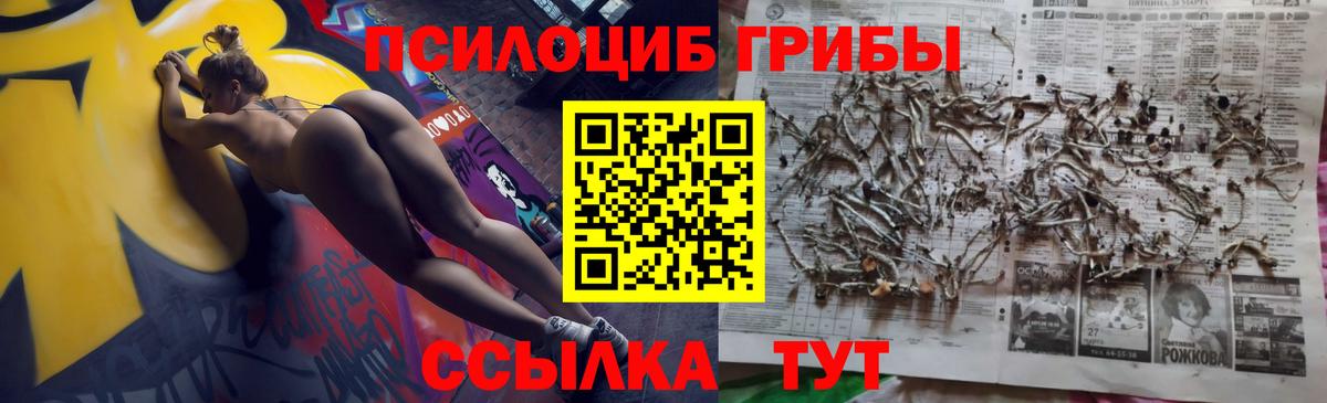 Псилоцибиновые грибы Magic Shrooms Новомосковск